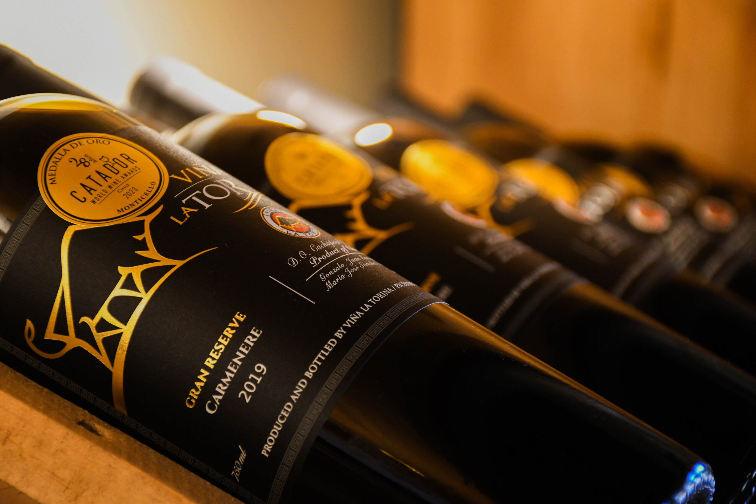 LA TORINA GRAN RESERVA CARMENERE - Imagen 2