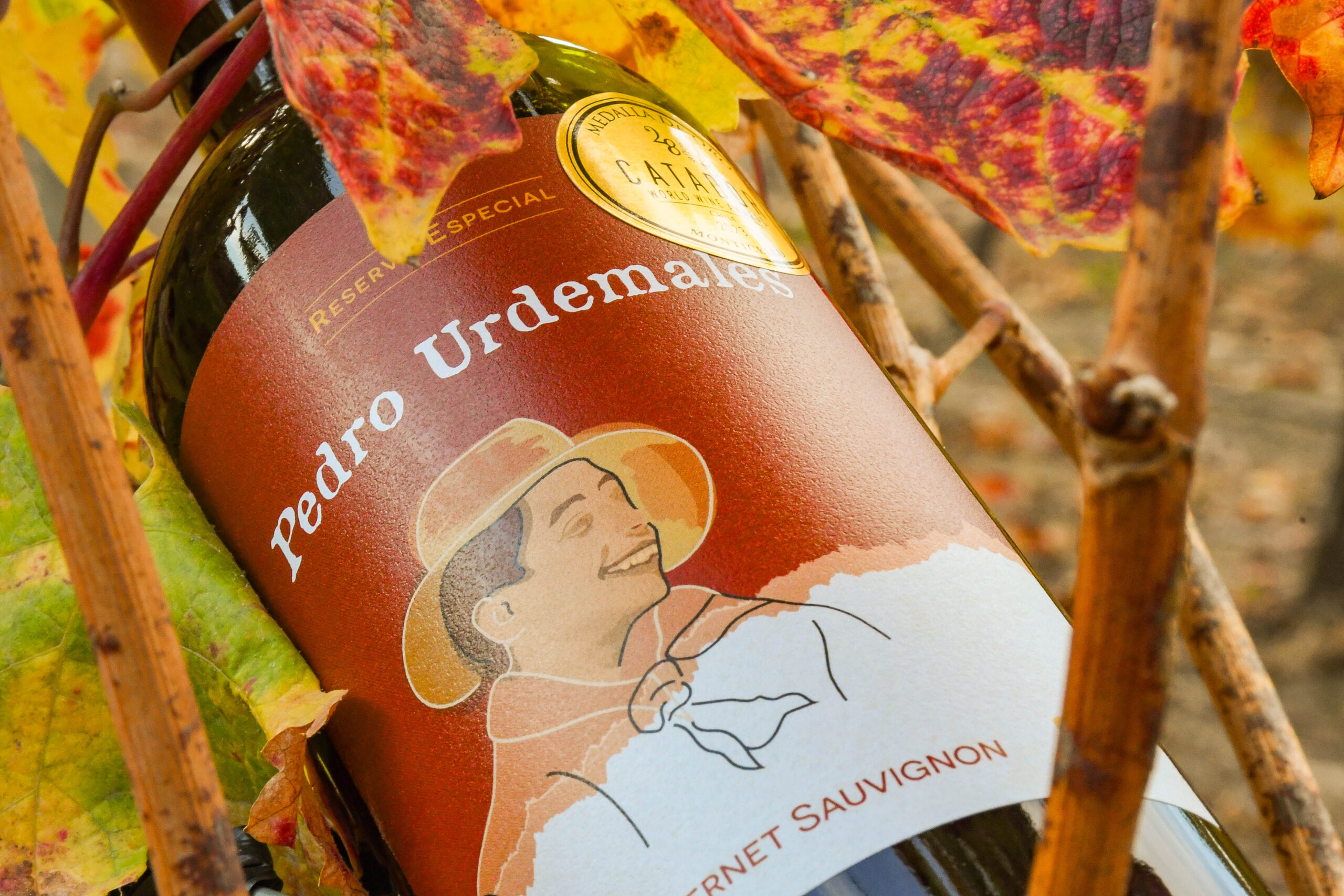 PRESENTACIÓN DOBLE PEDRO URDEMALES - CABERNET SAUVIGNON 2021 - Imagen 2