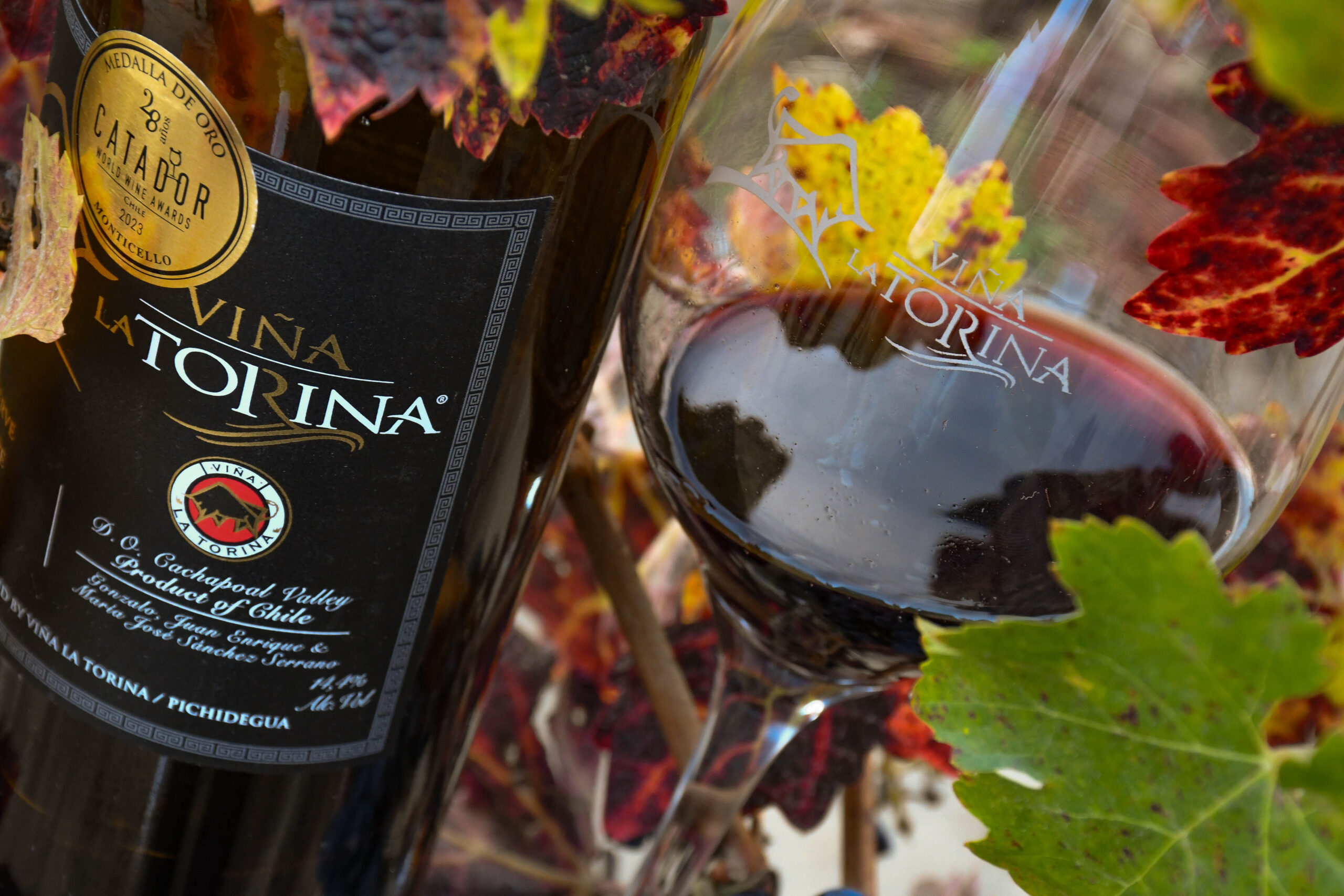 LA TORINA GRAN RESERVA CARMENERE - Imagen 3