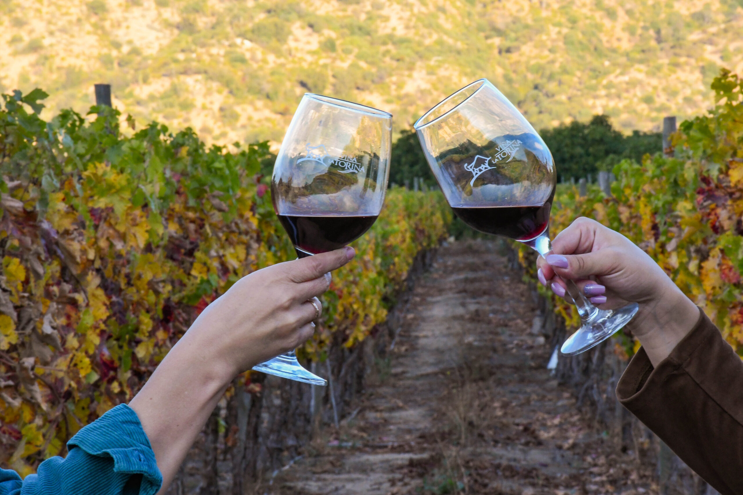 PRESENTACIÓN DOBLE PEDRO URDEMALES - CABERNET SAUVIGNON 2021 - Imagen 3