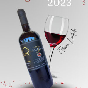 PRESENTACIÓN DOBLE - GRAN RESERVA CARMENERE 2023 EDICIÓN LIMITADA